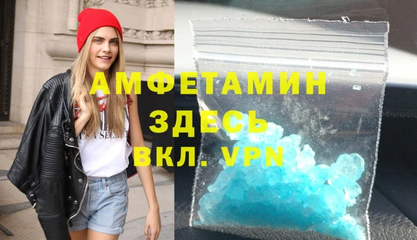 прущие грибы Белокуриха