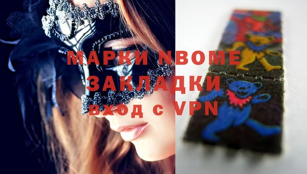 прущие грибы Белокуриха