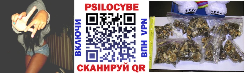 Псилоцибиновые грибы мухоморы  магазин продажи наркотиков  Ершов 